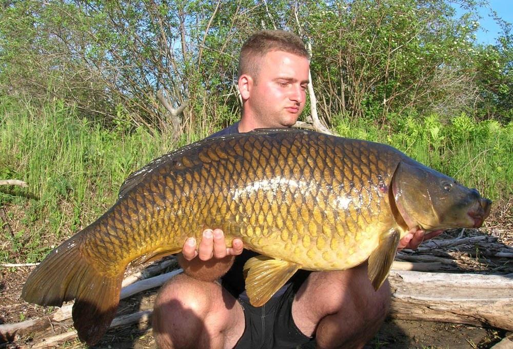 Viata Crapului. 6 aspecte importante pe care trebuie sa le stii in pescuitul la crap